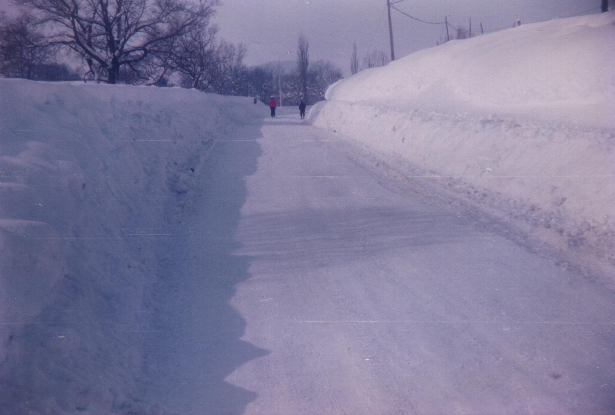 reinosa-nevada-1978.jpg