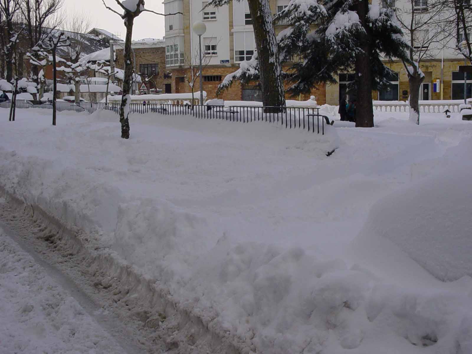 reinosa-nevada-2002-04.jpg